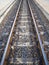 Rusty railway on concrete sleepers.