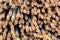 rusty rebar rods lie in a pile near the construction site of the viaduct