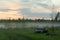 The rusty remains of the Soviet iron car lie in the forest near the road in a fog strip at sunset in the North