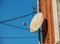 A rusty satellite dish on the wall of a red brick building. Wire connections are clearly visible against the blue sky