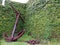 Rusty ship anchor in the background of grass near the museum in Horta