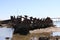 Rusty Shipwrecks on the Hunter River near Newcastle Australia