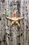 Rusty Star and Welcome Sign Hanging on a Weatherd Fence