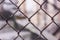 Rusty steel chain link or wire mesh as boundary wall. There is still concrete block wall behind the mesh.