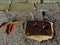 Rusty steel plate, concrete pavement and rusty autumn leaf