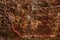 Rusty Steel Textured Surface Abstract Background