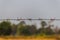 Rusty and thorny barbed wire boundary fence on blurred and blue