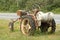 Rusty Tractor Oxidizing on the Roadside