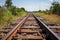 Rusty train tracks. Ai generated