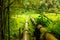 A rusty water pipe in the middle of the African rainforest - Kakum National Park, Ghana, Africa