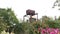 Rusty water reservoir tank for plant flower watering in garden