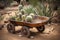 Rusty wheelbarrow with cactuses in sandy garden. Generate ai