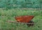 Rusty wheelbarrow in tall grass