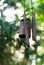 Rusty wind chime on a green background