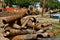 Rusty and worn out street sanitary and sewer pipe