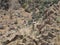 Rusty Wrecked Old Cars in Ravine in Arizona