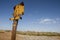 Rusty Yellow Street sign, Slat Lake City