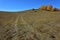 The rut and the birch on the grassland in autumn