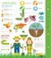 Rutabaga beneficial features graphic template. Gardening, farming infographic, how it grows. Flat style design