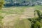 Ruteng - A close up on the Lingko Spider Web Rice Fields