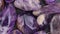 Rutilated amethyst jewel heap texture. Moving right seamless loop backdrop