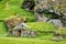 Rutshellir Caves turf cottage with grass roof the ancient habitations in the rock mountain at Iceland