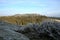 RView from Naroznik on the Skalniak massif. Lookout in the Table Mountains  Gory Stolowe , National Park, popular tourist attrac