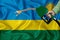 RWANDA flag Close-up shot on waving background texture with Fuel pump nozzle in hand. The concept of design solutions. 3d