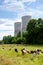 RWE Power, Westfalen power plant, former nuclear power plant THTR Hamm, coal power plant Baustelle, Hamm, Ruhrgebiet, North Rhine-