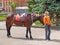 RYBINSK, RUSSIA. Girl invites to ride a horse