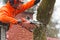 RYCZYWOL, POLAND - FEBRUARY 18, 2017 - Woodcutter cutting tree with a chainsaw