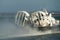 Ryde Isle of Wight England. 12000TD passenger hovercraft leaving port