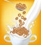 Rye cornflakes cereals with milk splash Vector realistic mock up. Product placement label design. 3d detailed illustrations