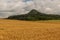 Rye field in front of Ronov hill, Czech Republ
