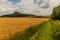 Rye field in front of Ronov hill, Czech Republ