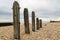 Rye Groynes