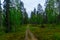 Rykimakero Trail, in Pyha-Luosto National Park
