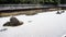 Ryoan-ji temple rock garden