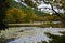 Ryoanji Temple pond in Kyoto