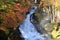 Ryuzu (Dragon Head) Waterfall