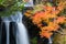 Ryuzu Waterfall Autumn forest Nikko Japan