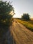 It`s autumn time, trees grow along the road