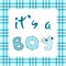 It`s a boy. Baby Shower Invitation Template with hand lettering, Hand written colored font, funny style.