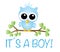 ItÂ´s a boy baby shower or newborn