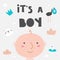 It`s a boy card, postcard, banner with new born boy, cat, nipple, stork, cloud, crown.