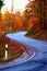 s-curves road up to the Hohe Acht in autumn forest