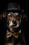 it’s a Dog’s face with different expressions, and props like a top hat, sunglasses