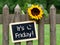 It`s Friday - chalkboard with sunflower and text