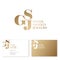 S, G and J Monogram. Premium Emblem for Beauty Brand. Gold and Silver Jewelry Logo. Luxury logo.