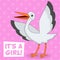 It\'s a Girl Card with Happy Stork